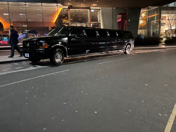 excursion limo